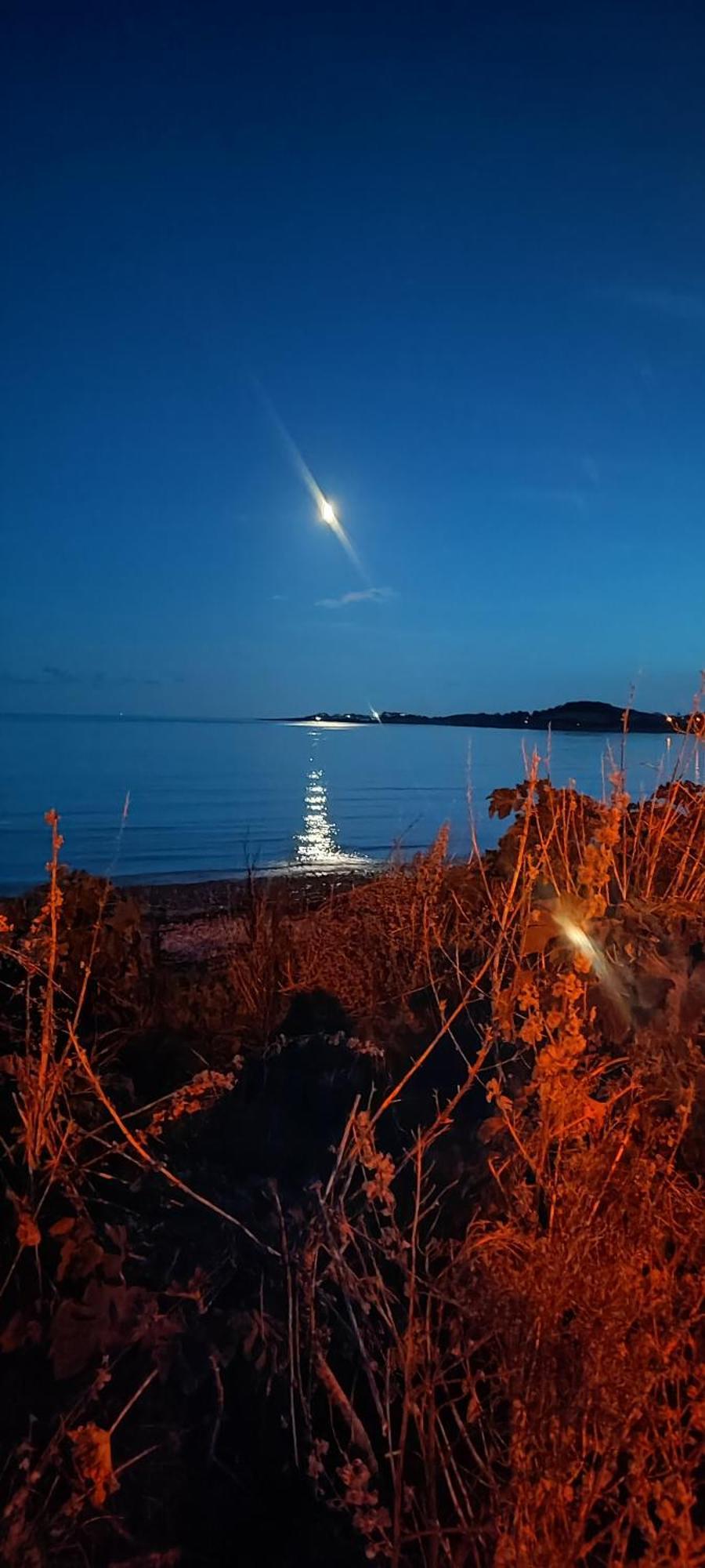 Ferienwohnung Horse Island View Luxury Retreat Kircubbin Exterior foto